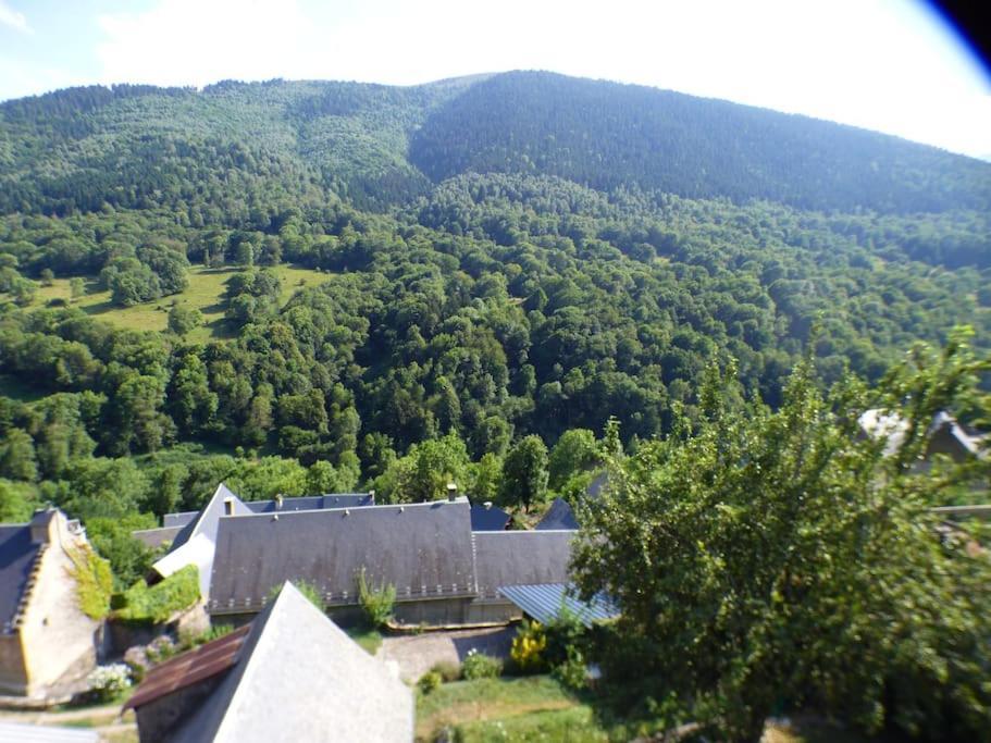 Maison Familiale Pour 8 Saint-Aventin Екстер'єр фото