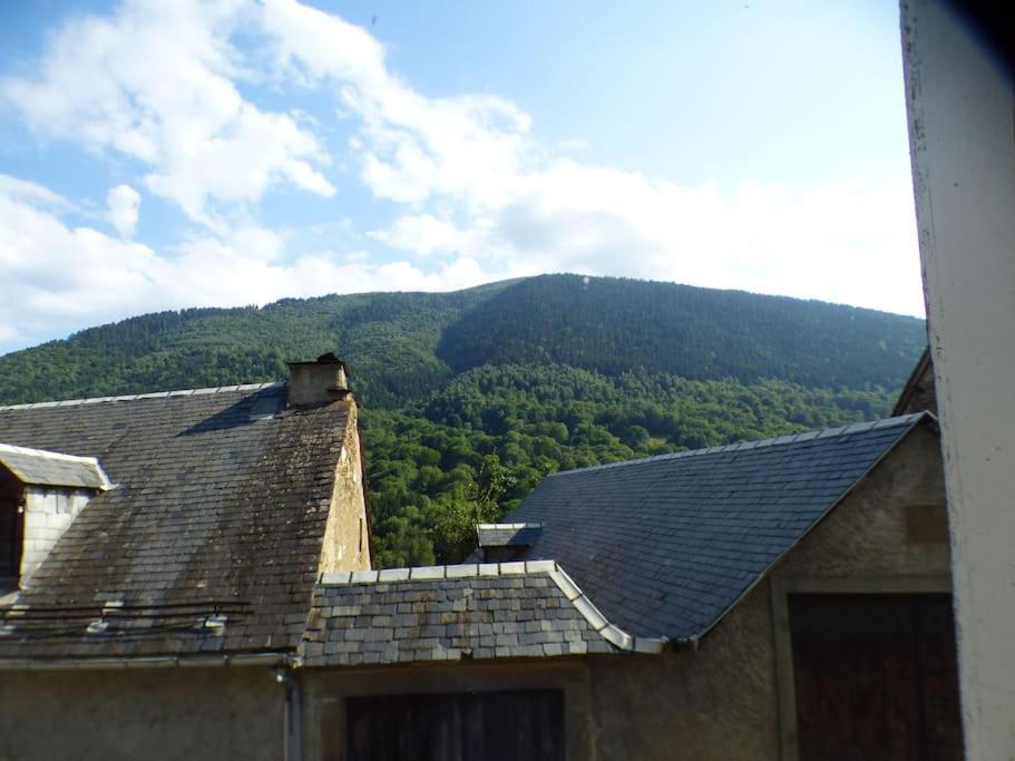 Maison Familiale Pour 8 Saint-Aventin Екстер'єр фото